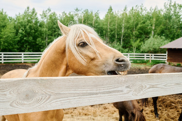 Similar image 21928564