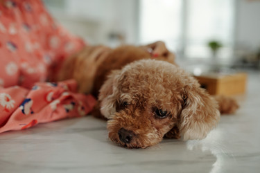 Similar image 21921994