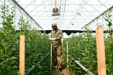 Similar image 21925575