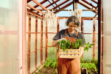 Similar image 21922341