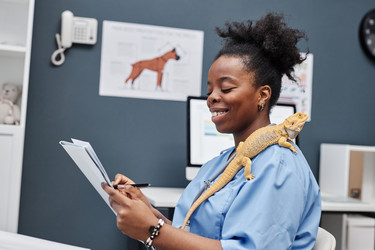 Similar image 21926577