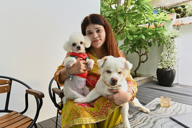 Similar image 21924576