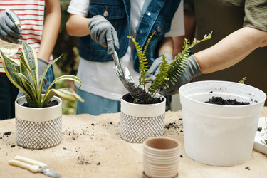 Similar image 21923871