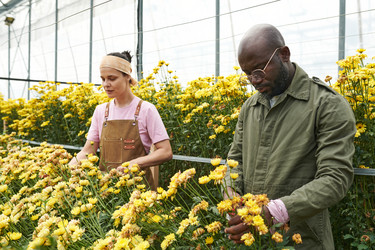 Similar image 21924883