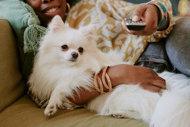 Similar image 21929941