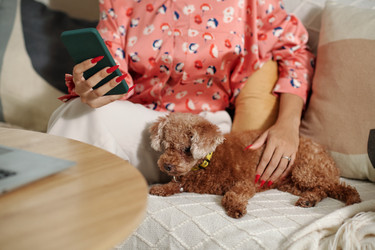 Similar image 21930370