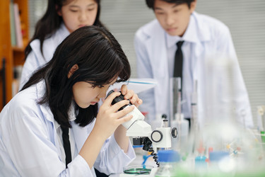 Similar image 21932027