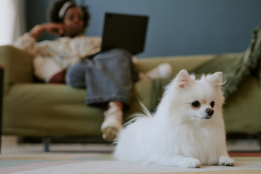 Similar image 21924735