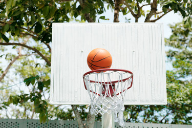 Similar image 21921408