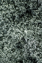 Similar image 21927750