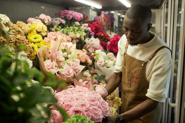 Similar image 21924047