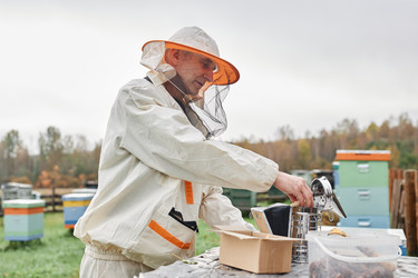 Similar image 21920428