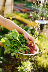 Similar image 21921061