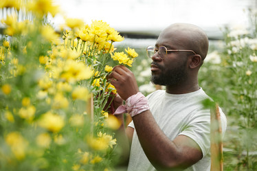 Similar image 21923136