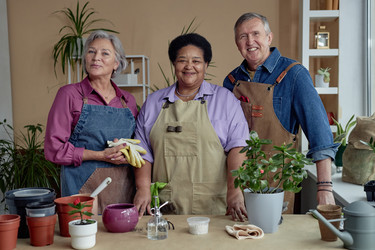 Similar image 21929500