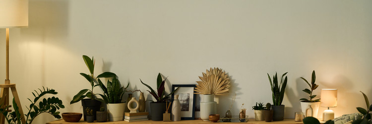 Similar image 21927558