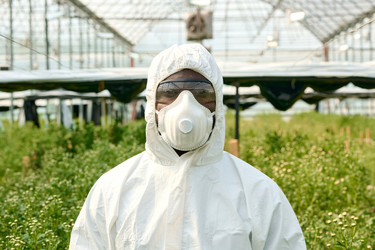 Similar image 21926706