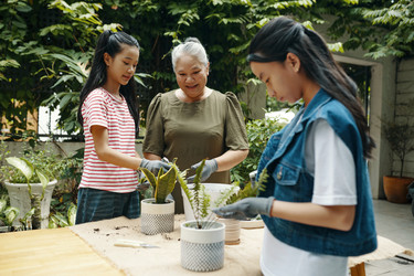 Similar image 21924112