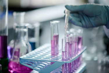 Similar image 21927262