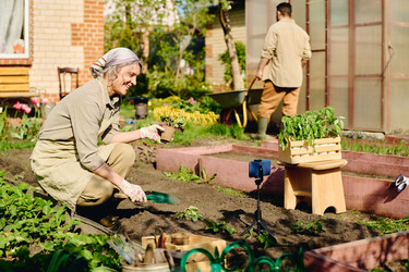 Similar image 21918808