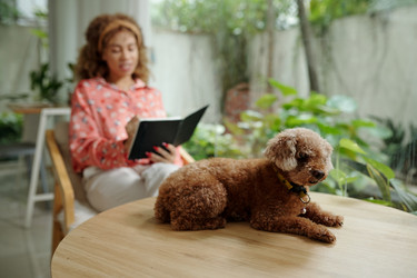 Similar image 21921483