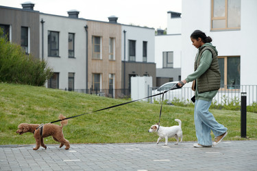 Similar image 21928624