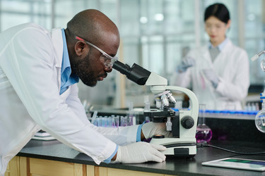 Similar image 21924796