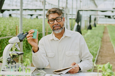 Similar image 21920207