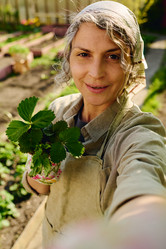 Similar image 21931069