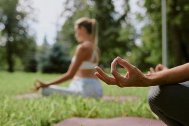 Similar image 21919557