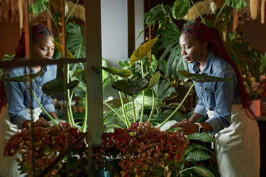 Similar image 21928697