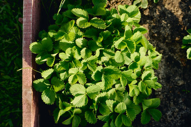 Similar image 21931974