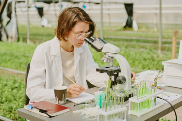 Similar image 21921388