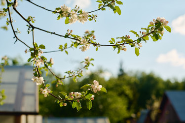 Similar image 21928047