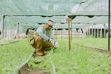 Similar image 21919507