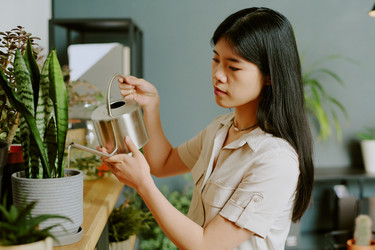 Similar image 21921676