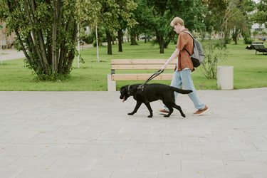 Similar image 21929156