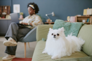 Similar image 21925638