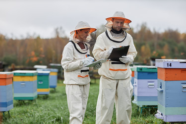 Similar image 21925776