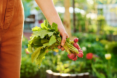 Similar image 21922259