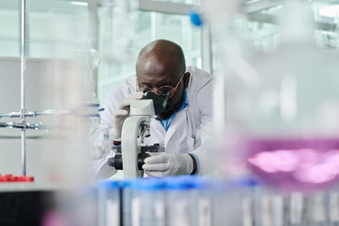 Similar image 21924164