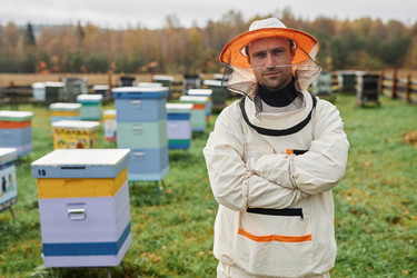 Similar image 21930169