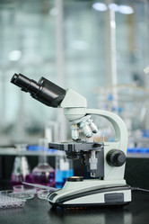 Similar image 21924094