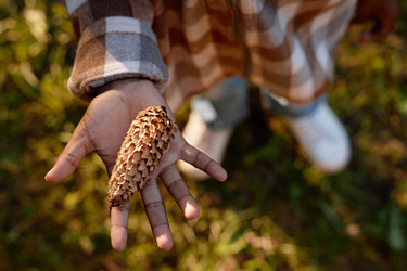 Similar image 21931402