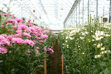 Similar image 21930530