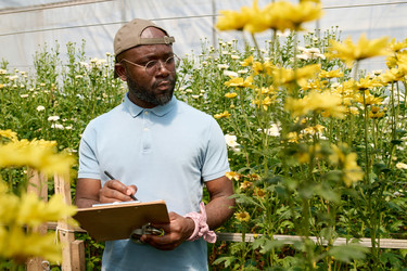 Similar image 21924929