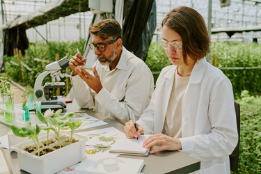 Similar image 21928607