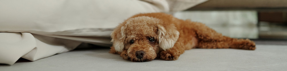 Similar image 21923969