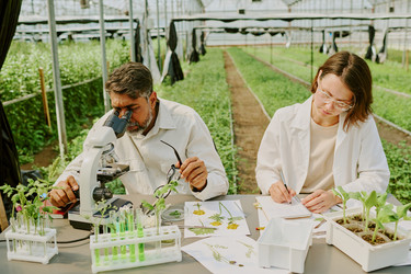 Similar image 21921628