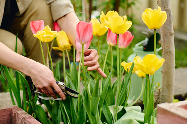 Similar image 21928765